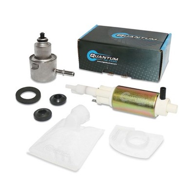 QFS Intank OEM Fuel Pump +Regulator for Chrysler Voyager 2000