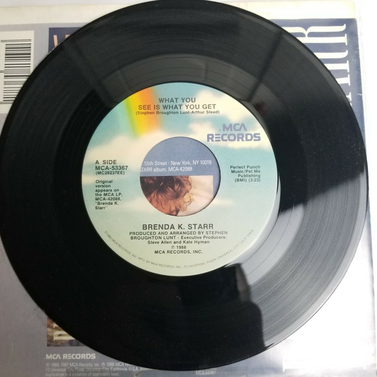 Brenda K. Starr What You See Is What You Get 7