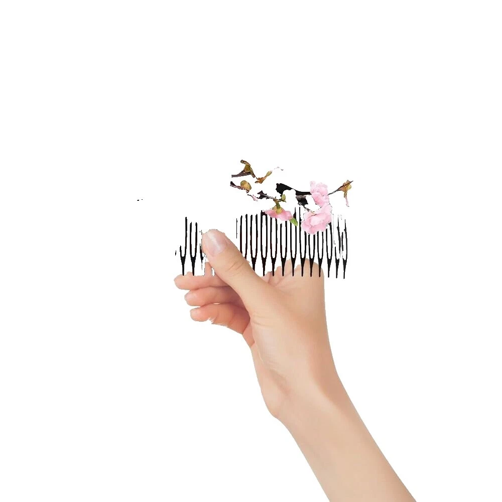 Black Plastic Hair Hair Combs for Women