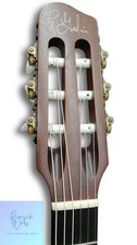 GODIN ACS-SA SLIM Electric Acoustic Guitar Versatile Playability