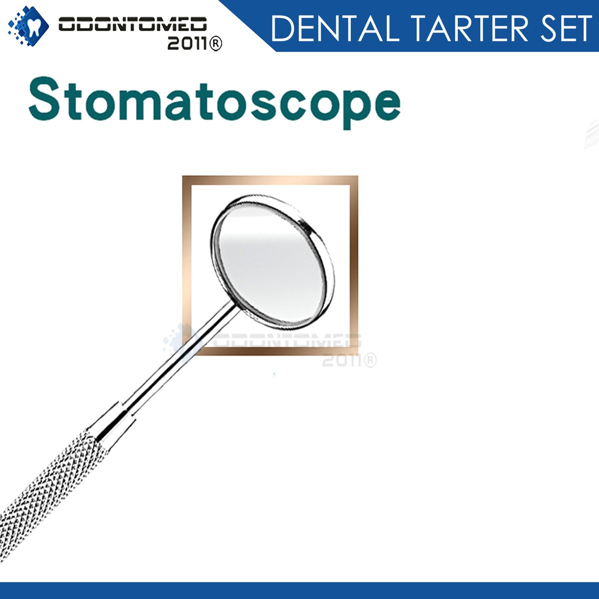 Set 4 Pezzi Set Standard Di 4 Strumenti Per Esame Dentale In