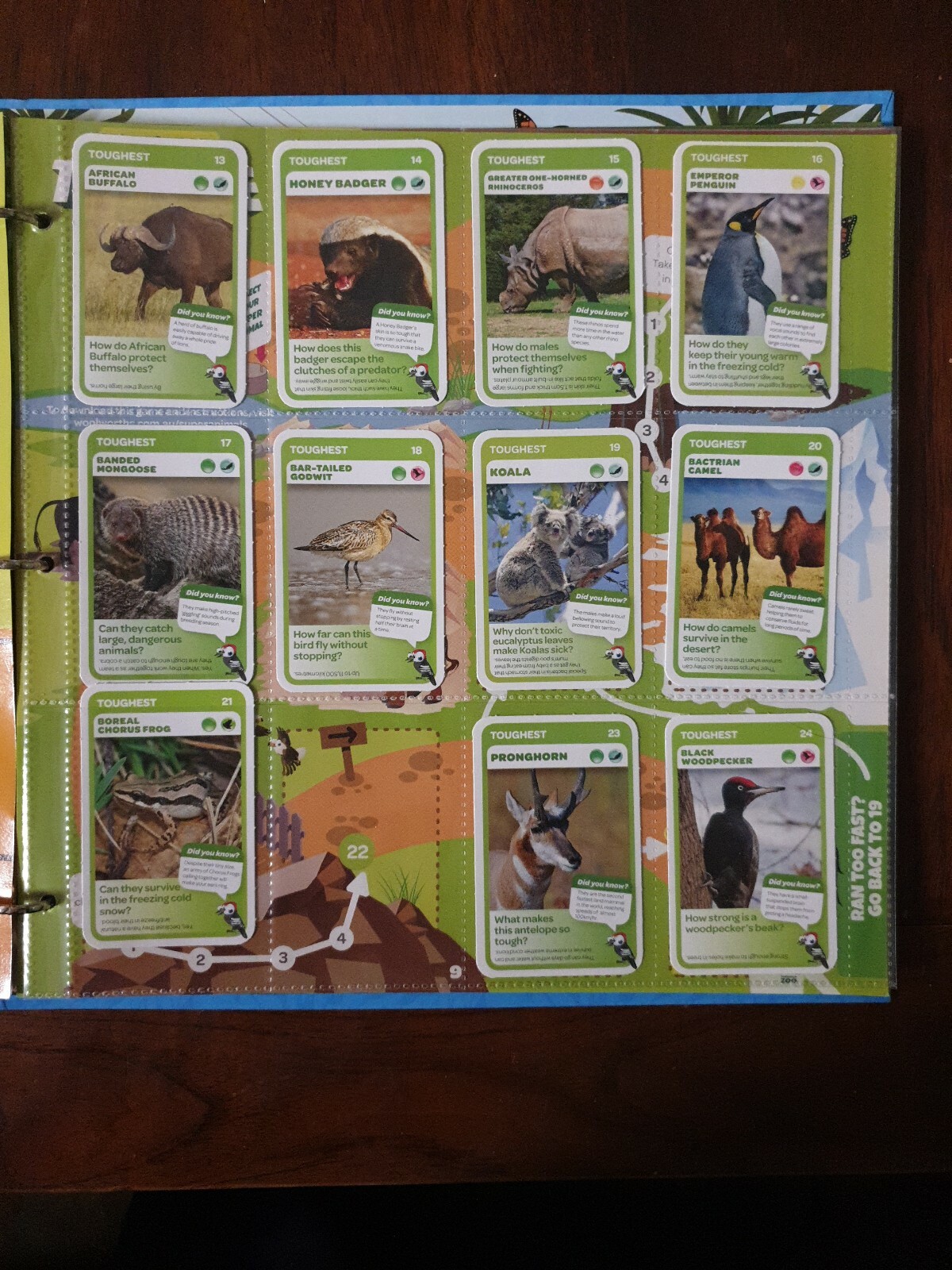 Woolworths Super Animals Activity and Collector's Album with Cards | eBay