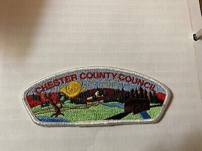 MINT CSP Norwela Council T-4b