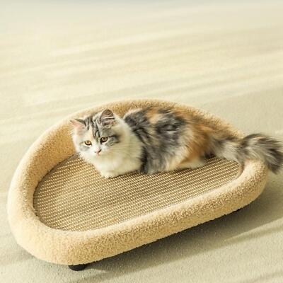Haustier Couchstuhl Katze schlafende Katze Schlafsofa Katze Kratzer Couch Katzencouch Bett für