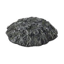 Schildkröten-Aquarium-Dekoration für Terrapin-Schildkröten und Leguane