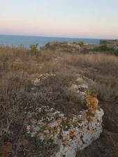 Picture Photo Image Wallpaper Background Beautiful Art # 118