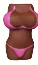 Funny Bikini Lighter Case Cover #2 - Fits Bic J3 or J6 Lighter