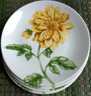4 ROSCHER & Co. 'Yellow Chrysanthemum (RRM35)' 8⅛" SALAD/DESSERT PLATES: Floral
