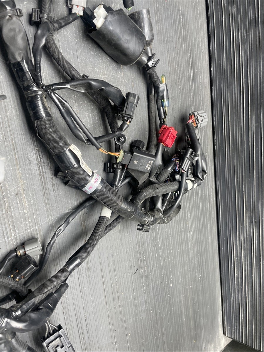 2024 Kawasaki Ninja ZX6R Wire harness, main electrical harness