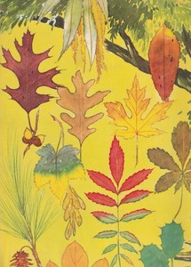 MORE TREES by FREDERICK GARNER -- BOOK 2 TO HELP YOU DRAW TREES