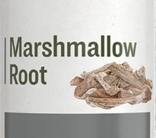 MARSHMALLOW ROOT - Digestive Respiratory & Urinary Tract Support Tincture USA