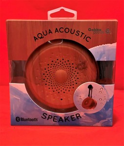 hanging shower speaker