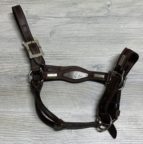 Western Leather Show Halter Pony Silver Plates Engraved Buckle Brown Show Tack