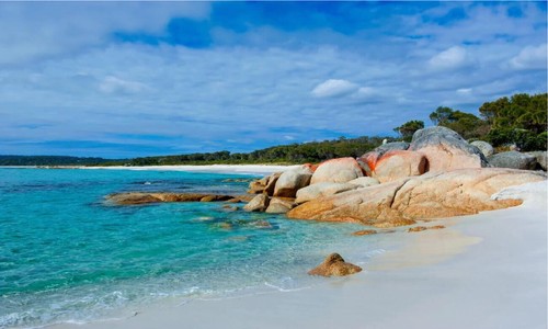 Beach, Bay of Fire, Tasmania, Australia Canvas Print Unframed Home Decor - Bild 3 von 5
