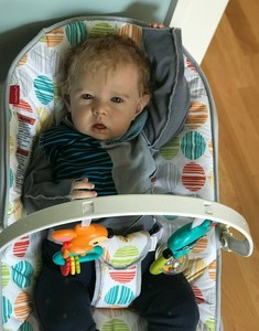 reborn toddler liam for sale