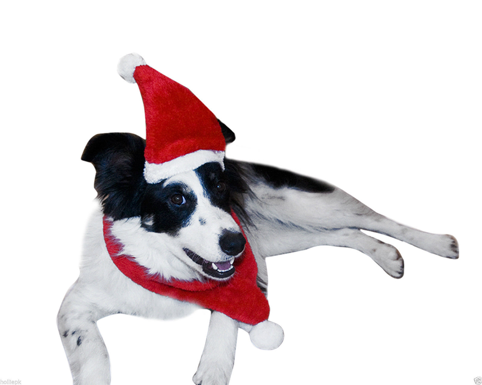 HAPPY PET DOG PUPPY PET FESTIVE CHRISTMAS XMAS SANTA SOFT WARM HAT & SCARF GIFT