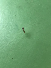 FHF ST Cal. 69-21 Setting Lever Screw Original Watch Part / T729