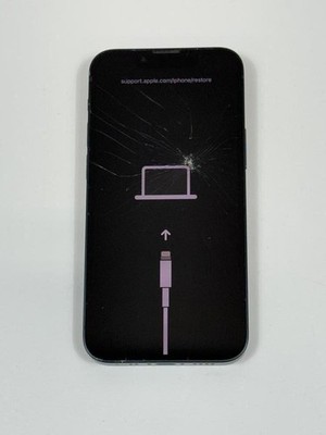 Apple iPhone 13 mini 256GB A2481 Midnight (Unlocked) - Broken