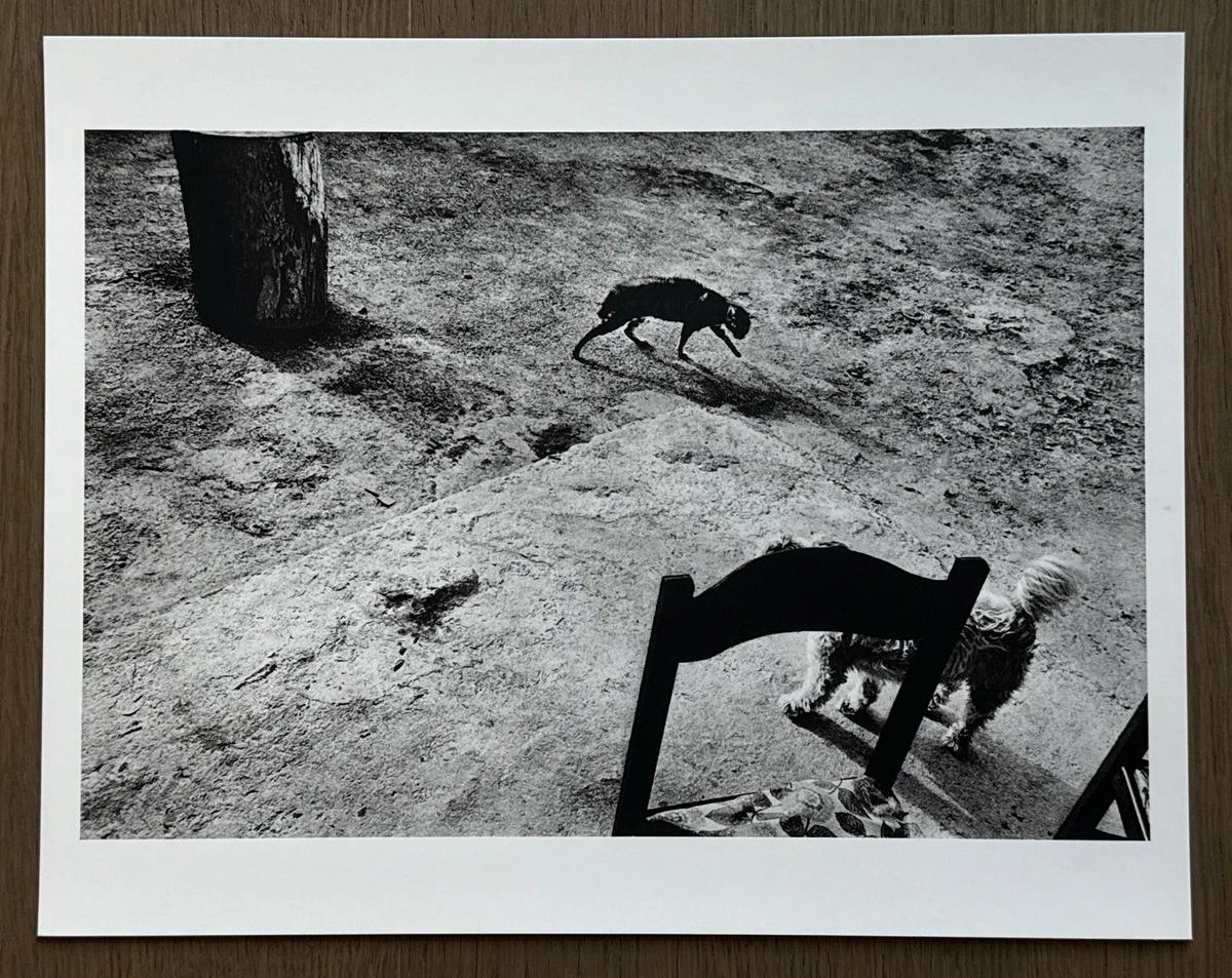 Josef Koudelka Art Photographs products for sale | eBay