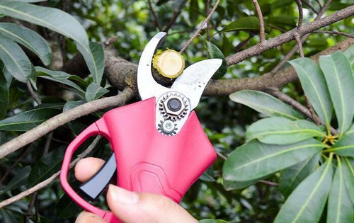 1.5Ah Rechargeable Electric Pruning Shears Pruner Tree Branch Garden Cutter Tool - Picture 9 of 9
