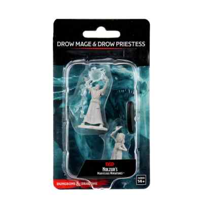 DUNGEONS & DRACHEN WUNDERBARE MINIATUREN ~ DROW MAGE & DROW PRIESTERIN
