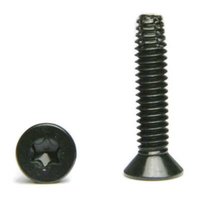 Torx Flat Head Self Tapping Floorboard Screws Type F 1/4''-20 x 2'' QTY 250