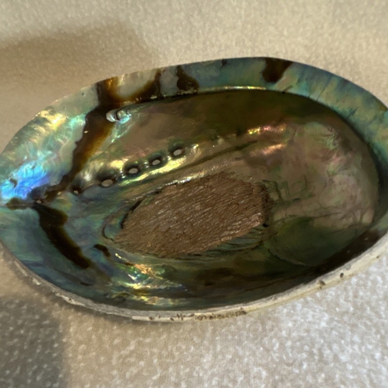 Natural Iridescent Abalone Shell - Polished Inside, Rough Outer