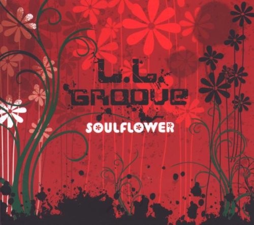 Ll Groove Цветок души (CD)