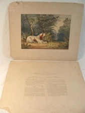 Antique 1880 A Pope Chromolithograph Trimbush Plate 7