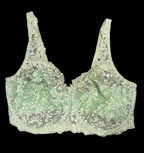 NWOT Woman Within Embroidered Lace Mesh Full Coverage Satin Back Bra 44DDD - Picture 2 of 9