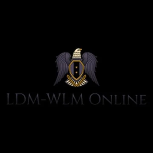 Saia Flapper Rugindo Anos 20 Vestido Fantasia Preto Halloween Adulto Fantasia Acessório - Imagem 3 de 3