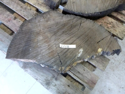 Mooreiche 2000 J. Moorholz Drechselholz Epoxidharz Tisch Baum Scheibe,55x28/20x6
