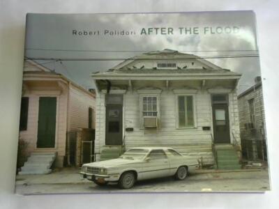 After the Flood