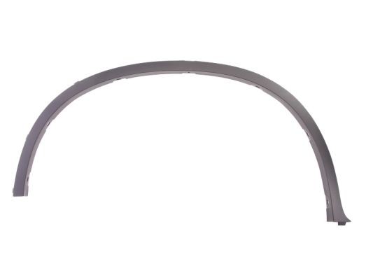 Right Rear BLIC 5703-04-0099596P Trim/Protection Strip, wing for BMW