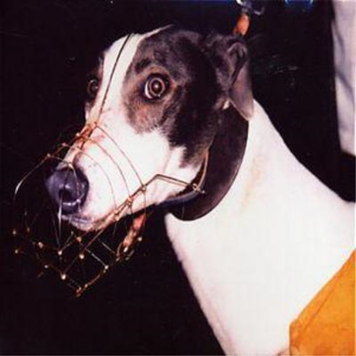 Kill Yourself Soft Touch of Man (CD) Album