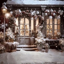 10'x10' Computer-painted Winter Snow Season Scenic background backdrop BHF1792