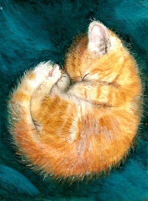BCB Orange Tabby Cat Kitten Sleeping Print of Painting ACEO 2 1/2 x 3 1/2 Inches