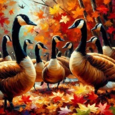 BAHZ' ORIGINALS PRINTS & CANVAS All 8x10 PRINT $49 8x10 Canvas $75