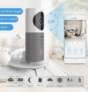 dog carrier for vespa scooter