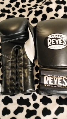 Cleto Reyes Profesional Boxing Gloves Lace up Pro Sparring Gloves