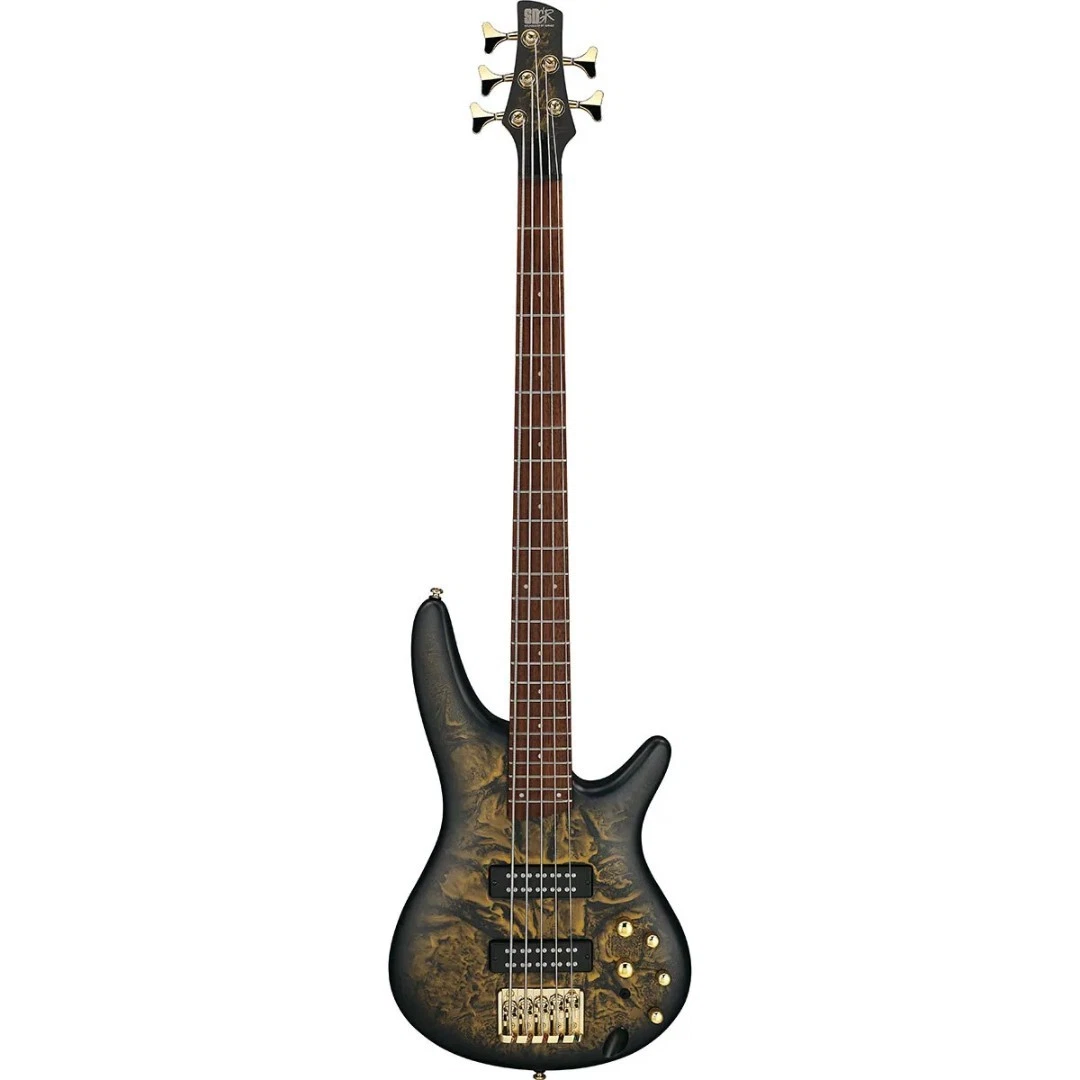 ibanez sr ５弦ベース　2000年代初期　ジャンク品 ibanez sr 5弦ベース 2000年代初期 ジャンク品 ibanez sr 5弦ベース
