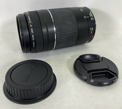 Canon EF-S 75-300mm f/4-5.6 lens