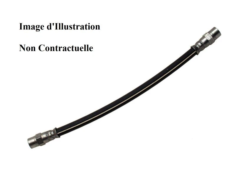 Flexible de Frein Arrière pour Renault Clio III Grand Scénic II Kangoo Nissan.. - Photo 1/1
