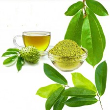 Dried Soursop Guanabana Graviola Organic Muricata Annona Natural Leaf 100 Powder