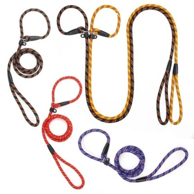 PET LIVING Strong Nylon Dog Training Slip Lead Leash Walking Training Collar 10mm x 150cm