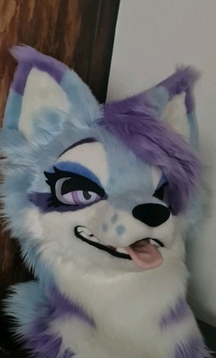 Wolf Fursuit Head mit Paws und Collar