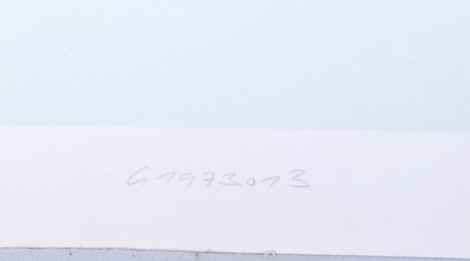 Aen t. Sauerborn: Serigrafie handsigniert, nummeriert 37/100 - Bild 3 von 4