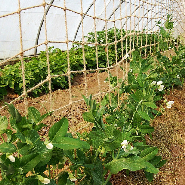 Jute Pea Bean Netting 50mm Heavy Duty Natural Biodegradable Climbing Plant 1mx5m