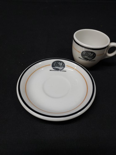 OLD Brunswick Springs Hotel Demitasse Cup & Saucer - BLOOMFIELD VT, STRATFORD NH - Picture 2 of 5