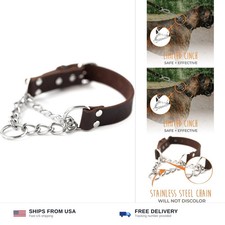 Mighty Paw Martingale Dog Collar - No Pull Design - Stainless Steel Chain - L...